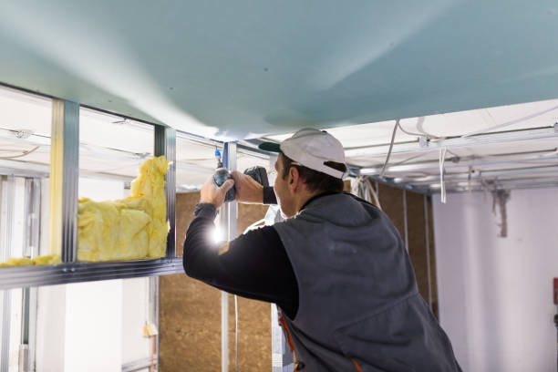 Best Insulation Maintenance and Repair in Carlisle Rockledge, AL