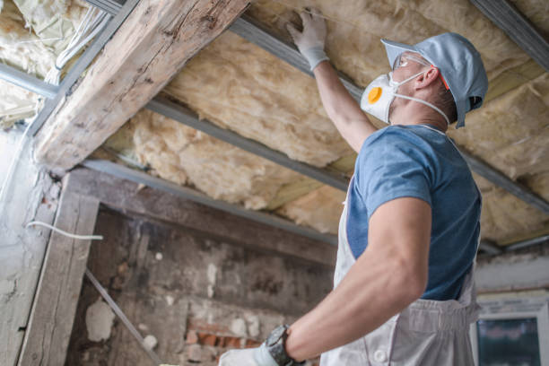 Best Specialty Insulation in Carlisle Rockledge, AL