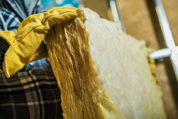 Best Insulation Maintenance and Repair in Carlisle Rockledge, AL